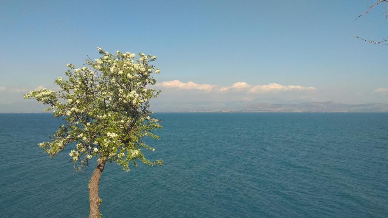 Linamare Eolos Kiveri Bagian luar foto