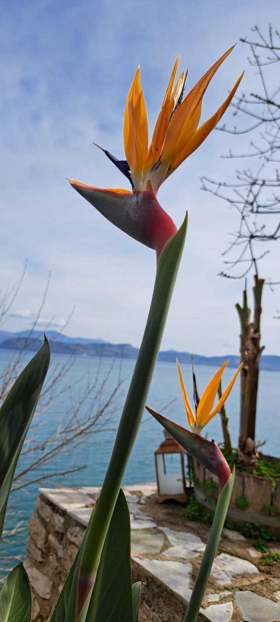 Linamare Eolos Kiveri Bagian luar foto
